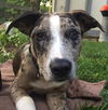 Jack Jack *LOCAL* MEET ME!