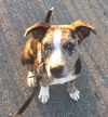 Jack Jack *LOCAL* MEET ME!