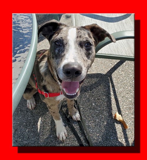 Jack Jack *LOCAL* MEET ME!
