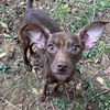 Georgia *LOCAL* MEET ME!