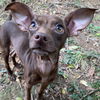 Georgia *LOCAL* MEET ME!