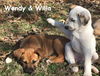 Willa Walker *LOCAL*