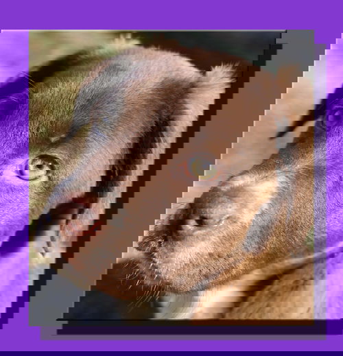 Zoey ZumZum *LOCAL* MEET ME!