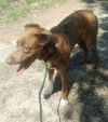 Oscar *LOCAL*