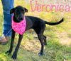 Veronica Velvet *LOCAL*