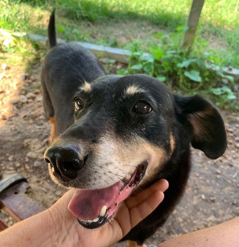 Maggie