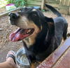 Maggie