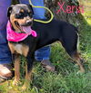 Xena *LOCAL*
