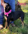 Xena *LOCAL*