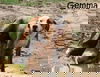 Gemma Beach *LOCAL*