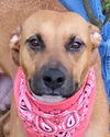 Mabel *LOCAL* MEET ME!
