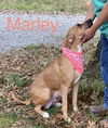Mabel *LOCAL* MEET ME!