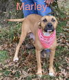 Mabel *LOCAL* MEET ME!