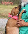 Mabel *LOCAL* MEET ME!