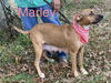 Mabel *LOCAL* MEET ME!