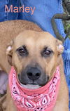 Mabel *LOCAL* MEET ME!
