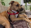 Mabel *LOCAL* MEET ME!