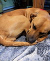 Mabel *LOCAL* MEET ME!