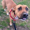 Mabel *LOCAL* MEET ME!