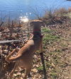 Mabel *LOCAL* MEET ME!