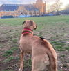 Mabel *LOCAL* MEET ME!