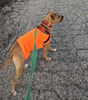 Mabel *LOCAL* MEET ME!