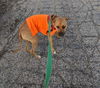 Mabel *LOCAL* MEET ME!