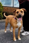 Mabel *LOCAL* MEET ME!
