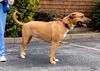 Mabel *LOCAL* MEET ME!