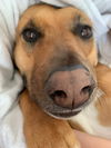 Mabel *LOCAL* MEET ME!