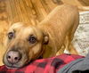 Mabel *LOCAL* MEET ME!