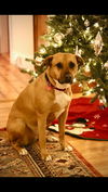 Mabel *LOCAL* MEET ME!