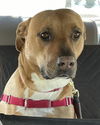 Mabel *LOCAL* MEET ME!
