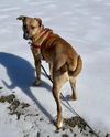Mabel *LOCAL* MEET ME!