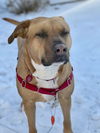Mabel *LOCAL* MEET ME!