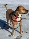 Mabel *LOCAL* MEET ME!
