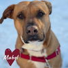 Mabel *LOCAL* MEET ME!