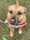 Mabel *LOCAL* MEET ME!