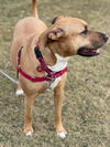 Mabel *LOCAL* MEET ME!