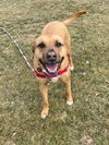 Mabel *LOCAL* MEET ME!