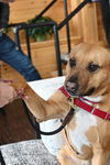 Mabel *LOCAL* MEET ME!