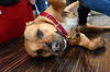 Mabel *LOCAL* MEET ME!