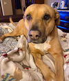 Mabel *LOCAL* MEET ME!