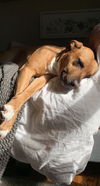 Mabel *LOCAL* MEET ME!