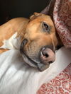 Mabel *LOCAL* MEET ME!