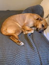 Mabel *LOCAL* MEET ME!