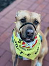 Mabel *LOCAL* MEET ME!
