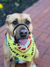 Mabel *LOCAL* MEET ME!
