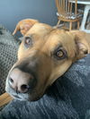 Mabel *LOCAL* MEET ME!
