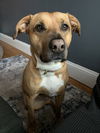 Mabel *LOCAL* MEET ME!